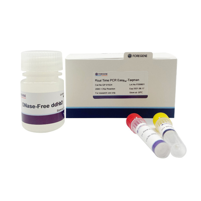 Υψηλή πραγματική - χρονικό PCR easyTM-Taqman για πραγματικό - χρονικό PCR ευαισθησίας αντίδραση ενίσχυσης
