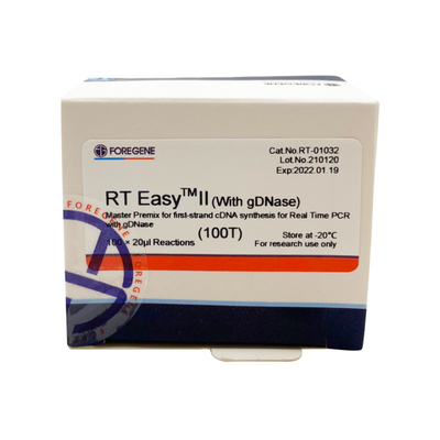 RT EasyTM ΙΙ με τους αντίστροφους εγχυτήρες μεταγραφής για να χρησιμοποιήσει την κύρια πρόμιξη για τη σύνθεση πρώτος-σκέλους CDNA/πραγματικός - χρονικό PCR