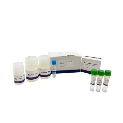 Άμεσο PCR φύλλων φυτού συν PCR εξαρτήσεων UNG το φύλλο φυτού απομονωτών λύσης πολυμεράσεων DNA εξαρτήσεων για τα διαγενετικά φυτά