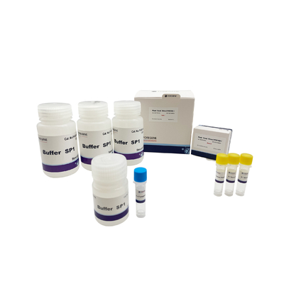 PCR σπόρου εγκαταστάσεων άμεσος Pcr εξαρτήσεων I/II απομονωτής φόρτωσης CE ISO απομονωτών λύσης εξαρτήσεων για τις διαγενετικές εγκαταστάσεις