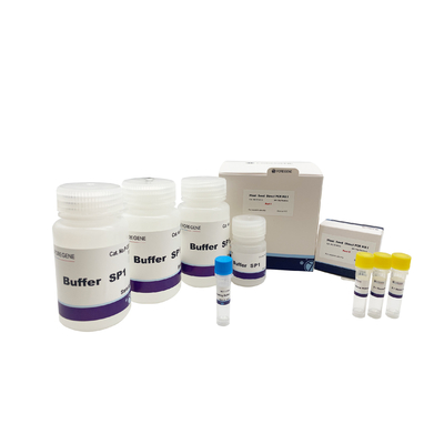 Άμεση PCR εργαστηρίων εξάρτηση Ι για τους σπόρους εγκαταστάσεων που περιέχουν τα χαμηλά τμήματα πολυσακχαριτών και Polyphenol