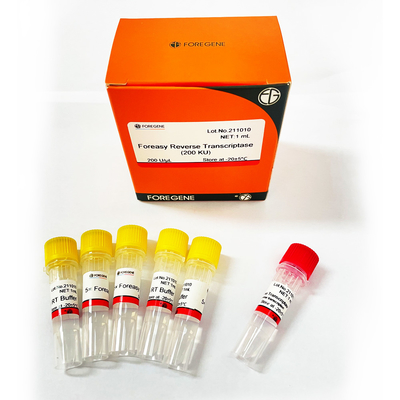 Foreasy μ-MLV αντίστροφο Transcriptase για PCR επέκτασης εγχυτήρων σύνθεσης CDNA τις εξαρτήσεις με την πολυμεράση DNA