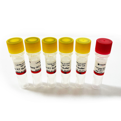 Foreasy μ-MLV αντίστροφο Transcriptase για PCR επέκτασης εγχυτήρων σύνθεσης CDNA τις εξαρτήσεις με την πολυμεράση DNA