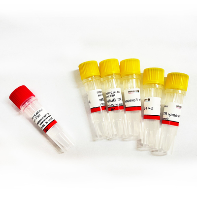 Foreasy μ-MLV αντίστροφο Transcriptase για PCR επέκτασης εγχυτήρων σύνθεσης CDNA τις εξαρτήσεις με την πολυμεράση DNA
