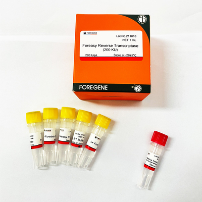 Foreasy μ-MLV αντίστροφο Transcriptase για PCR επέκτασης εγχυτήρων σύνθεσης CDNA τις εξαρτήσεις με την πολυμεράση DNA
