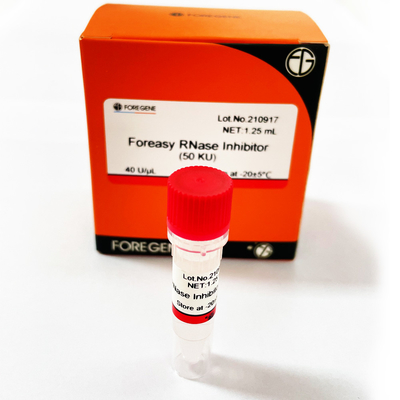 RNase Foreasy προστασίας RNA ανασταλτικός παράγοντας για τις αντίστροφες εξαρτήσεις μεταγραφής συστημάτων μεταγραφής