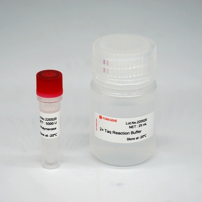Foreasy HS Taq DNA ενζυμικό μίγμα HotStar Taq πολυμεράσεων έξοχο για PCR/QPCR