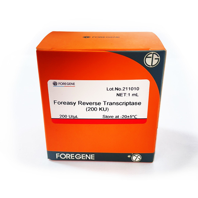Νέα γενιά Foreasy του αντίστροφου Transcriptase RT ενζύμου Foreasy μ-MLV