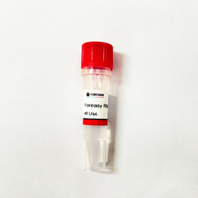 RNase Foreasy παραγωγής εργοστασίων της Κίνας IVD υψηλός ανασταλτικός παράγοντας για την προστασία RNA