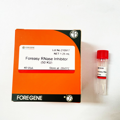RNase Foreasy παραγωγής εργοστασίων της Κίνας IVD υψηλός ανασταλτικός παράγοντας για την προστασία RNA