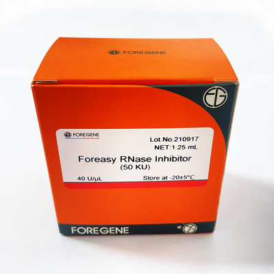 RNase Foreasy παραγωγής εργοστασίων της Κίνας IVD υψηλός ανασταλτικός παράγοντας για την προστασία RNA