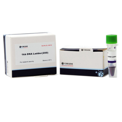 Δείκτης 2000 100 δοκιμές 500 μL συσκευασία 100bp-2000bp DNA για την ηλεκτροφόρηση