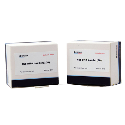 Δείκτης 5000 DNA Foregene 400 δείκτης DNA συσκευασίας μL 100bp-5000bp δοκιμών 500x4