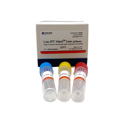Lnc-RT HeroTM Ι (με το gDNase) έξοχη πρόμιξη για τη σύνθεση πρώτος-σκελών cDNA από το lncRNA Cat.No.RTL-09098/09099