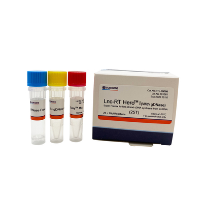 Lnc-RT HeroTM Ι (με το gDNase) έξοχη πρόμιξη για τη σύνθεση πρώτος-σκελών cDNA από το lncRNA Cat.No.RTL-09098/09099