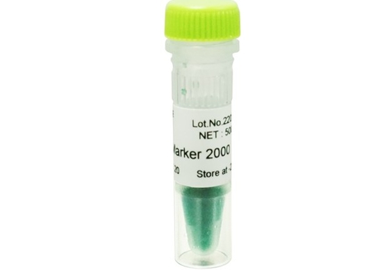 2000bp PCR πηκτωμάτων αγαρόζης δεικτών DNA σκάλα DNA εξαρτήσεων για την έρευνα