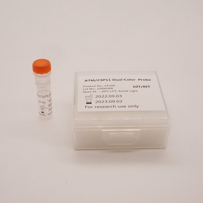 ATM/CSP11 Dual Color Probe για ανίχνευση ανωμαλίας γονιδίου ανθρώπινου ATM (11q22)
