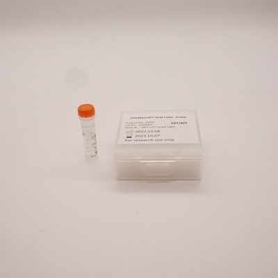D7S486/CSP7 Dual Color Fish Probe Kit για Κυτταρολογικά Δείγματα