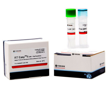 Πραγματικός - χρονικό PCR υψηλή ευαισθησία εξαρτήσεων σύνθεσης STRAND CDNA μεταγραφέων πρώτη