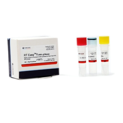 PCR σύνθεσης CDNA κύρια αντίστροφη μεταγραφή RT εύκολο ΙΙ 50T 200T προμίξεων