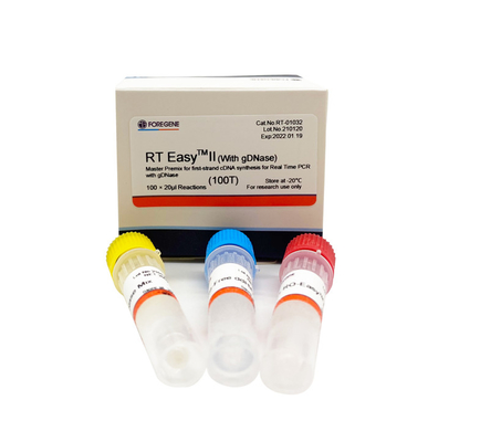 Γρήγορες RT εύκολες ΙΙ 25T αντίστροφες Transcriptase εξαρτήσεις με DNase για πραγματικό - χρονικό PCR
