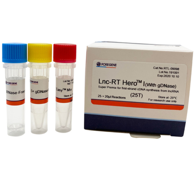 DNase lnc-RT HeroTM Ι έξοχη εξάρτηση 25×20ul Rxns μεταγραφής προμίξεων αντίστροφη