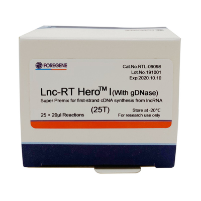 DNase lnc-RT HeroTM Ι έξοχη εξάρτηση 25×20ul Rxns μεταγραφής προμίξεων αντίστροφη