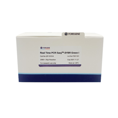 Πραγματικός - χρονικό PCR easyTM-SYBR πράσινη Ι pcr συστημάτων SYBR προμίξεων εξαρτήσεων νέα πράσινη φθορισμού εξάρτηση