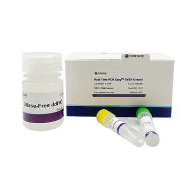 Πραγματικός - χρονικό PCR easyTM-SYBR πράσινη Ι pcr συστημάτων SYBR προμίξεων εξαρτήσεων νέα πράσινη φθορισμού εξάρτηση