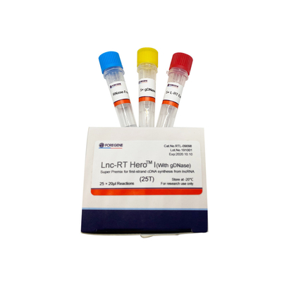 Lnc-RT HeroTM Ι (με το gDNase) (έξοχη πρόμιξη για τη σύνθεση πρώτος-σκελών cDNA από το lncRNA)