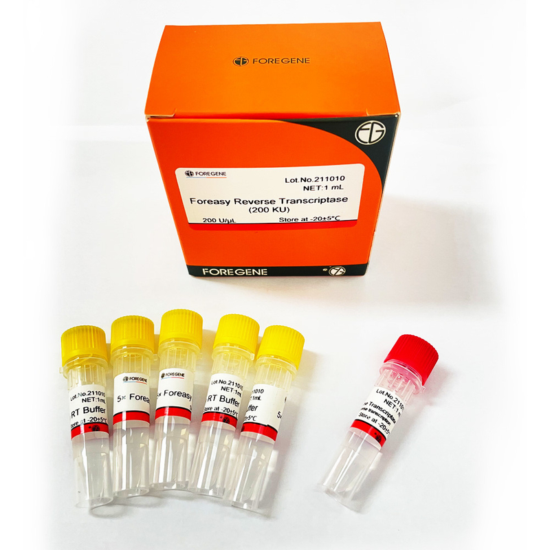 Foreasy μ-MLV αντίστροφο Transcriptase για PCR επέκτασης εγχυτήρων σύνθεσης CDNA τις εξαρτήσεις με την πολυμεράση DNA
