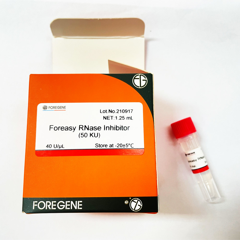 RNase Foreasy προστασίας RNA ανασταλτικός παράγοντας για τις αντίστροφες εξαρτήσεις μεταγραφής συστημάτων μεταγραφής