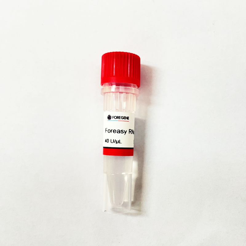 RNase Foreasy παραγωγής εργοστασίων της Κίνας IVD υψηλός ανασταλτικός παράγοντας για την προστασία RNA