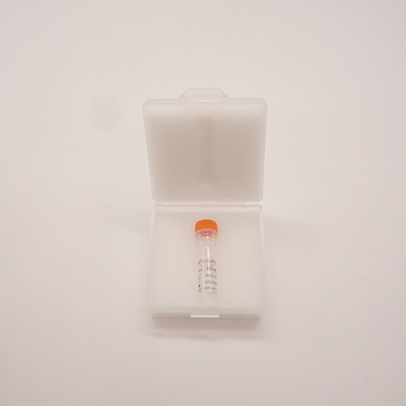 ATM/CSP11 Dual Color Probe για ανίχνευση ανωμαλίας γονιδίου ανθρώπινου ATM (11q22)