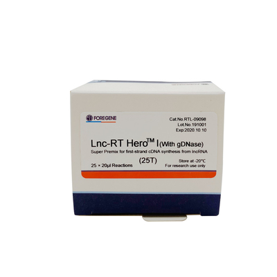 Lnc-RT HeroTM Ι (με το gDNase) έξοχη πρόμιξη για τη σύνθεση πρώτος-σκελών cDNA από το lncRNA Cat.No.RTL-09098/09099