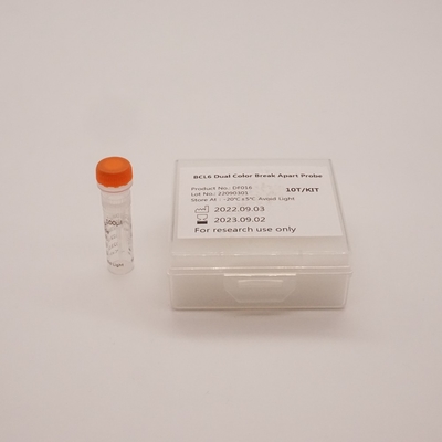 BCL6 Dual Color Break Apart Probe για ανίχνευση ανωμαλίας ανθρώπινου γονιδίου BCL6